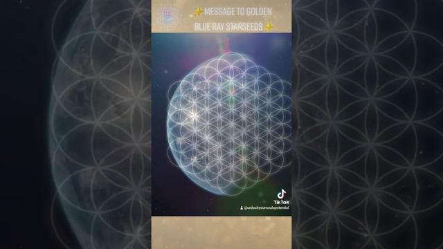 © ✨️Message to Golden Blue Ray Starseeds✨️ #goldenray #blueray #lightcodesactivation смотреть онлайн