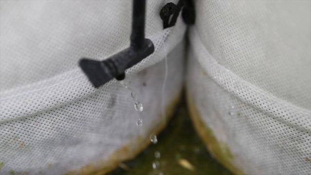 Сбор урожая помидор в гидропонной теплице смотреть онлайн