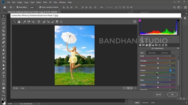 How to Change Backgrund Color Adobe Photoshop CC Camera Raw Filter смотреть онлайн