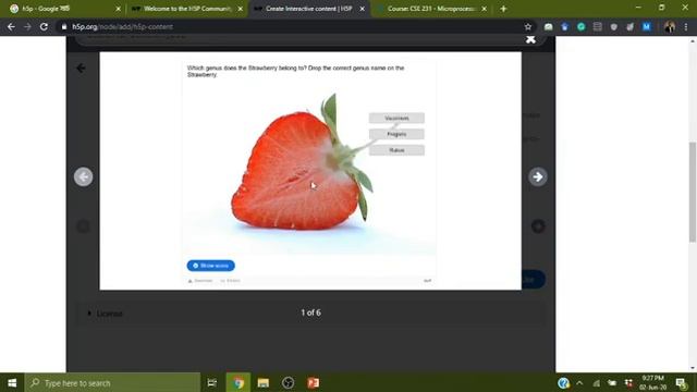 Exploring H5P Contents смотреть онлайн