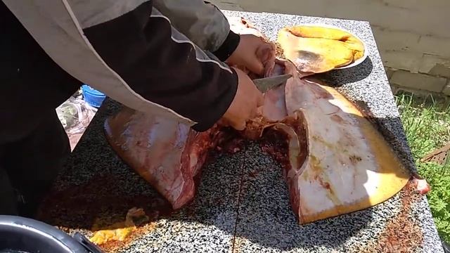 Как разделать ската!? смотреть онлайн