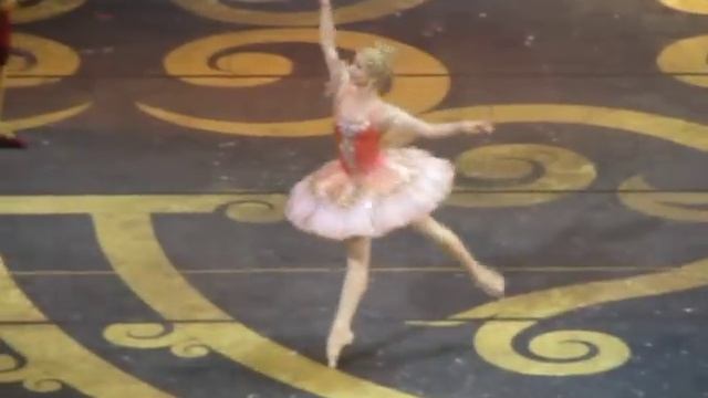 Евгения Образцова - Спящая красавица