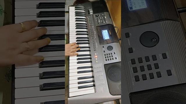 Tu meri zindagi hai... instrumental on Yamaha Keyboard PSR I500... смотреть онлайн