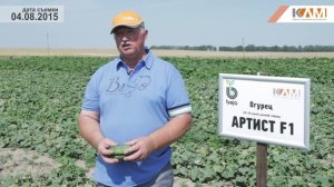 Огурец Артист F1. Характеристики гибрида