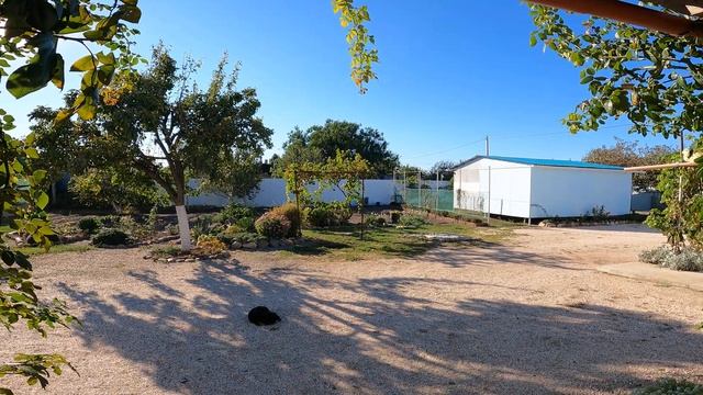 Виноградная пора, Переработка винограда, Делаю виноградный сок. смотреть онлайн