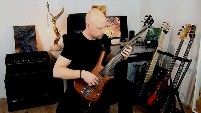 Bass Comparison - Spector, Dingwall, Warwick & Fender смотреть онлайн
