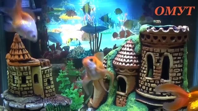 415. МОЛИТВА НА НЕИЗВЕСТНОГО ВРАГА... смотреть онлайн