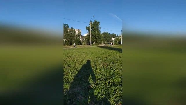 Если вы взяли щенка Хаски... смотреть онлайн