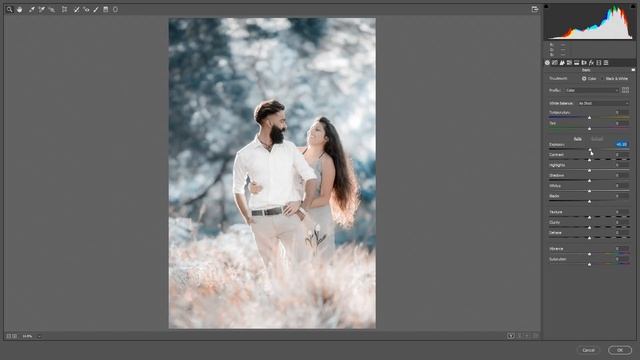 How to Make Preset in Photoshop (Sinhala) смотреть онлайн