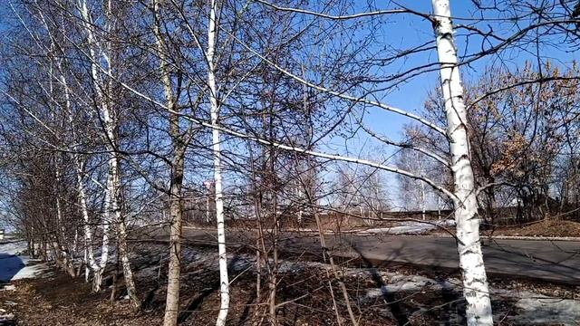 ПРОЩЕНОЕ ВОСКРЕСЕНЬЕ.Как правильно просить прощение?Список необходимых дел. Приметы и поверья смотреть онлайн