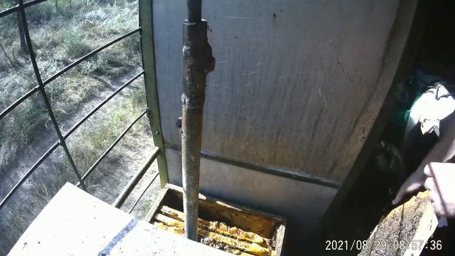 Состояние пчелопакета"Узбечка" на 29 августа.Подготовка к зимовке.Профилактика Варроатоза. смотреть онлайн