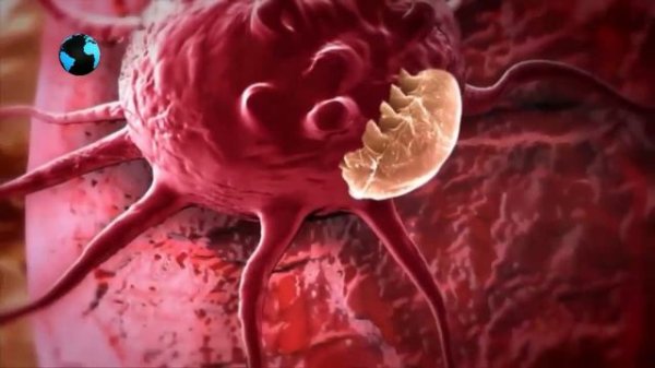 Что такое вирусы? / What are viruses?