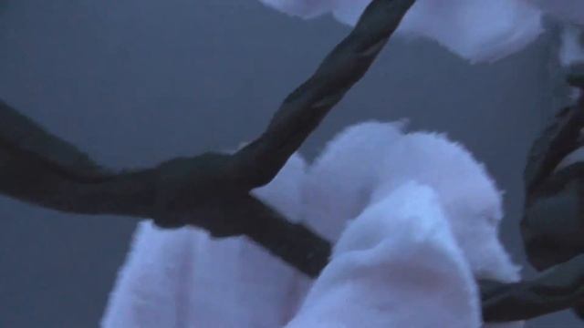 Дурака черная 12- полосная с граненым узлом - nozh74.ru смотреть онлайн