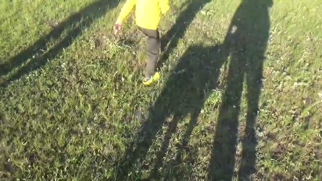 Выгул козы: первый поход на дальняк. Верба знакомится с окрестностями. смотреть онлайн