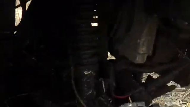 radbod (5) смотреть онлайн