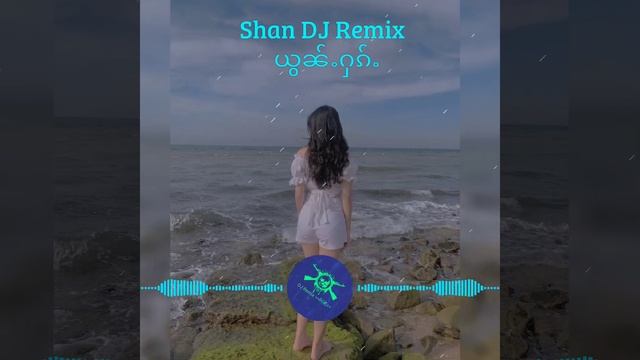 DJ Remix Inn Fung ယွၼ်ႉႁၵ်ႉ. DJ Remix music player. смотреть онлайн