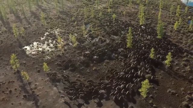 Самые красивые места в России. Ямал смотреть онлайн