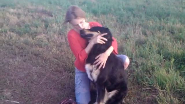 Тошка смотреть онлайн