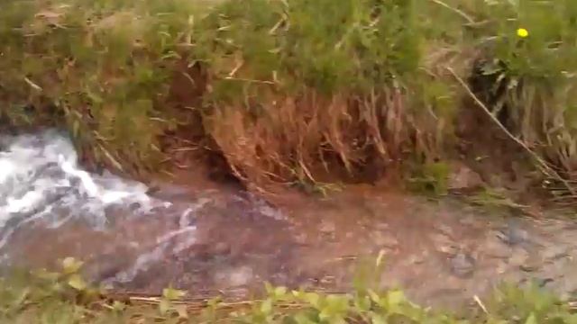ЖК Муринский посад ЦДС смотреть онлайн