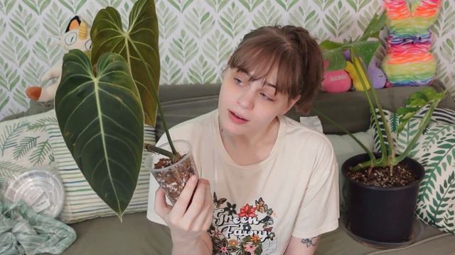 Aroids I Adored In August | Plants I'm Loving Right Now ♡