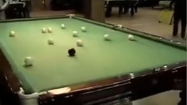 разбой классик книга рекордов Гиннесса 1999год