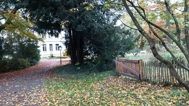 Бал Хризантем в Ларе. Город Лар ( Lahr ) - Хризантемовый рай. Часть вторая. смотреть онлайн