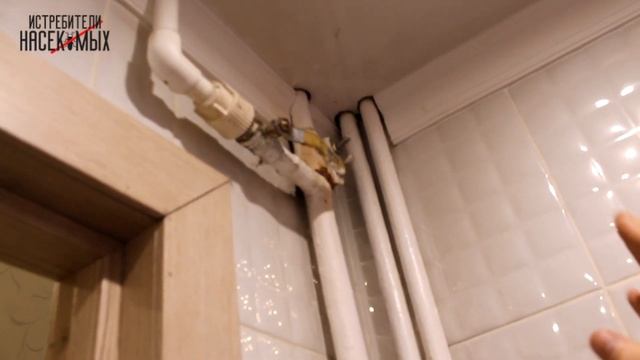 Обработка от насекомых в квартире смотреть онлайн