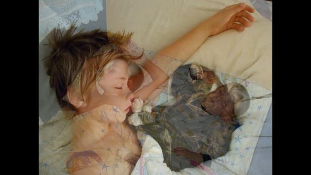 Владимир Овчинцев. Сыновья спят