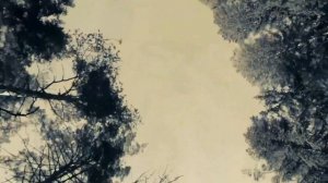 Егор Летов. Офелия.