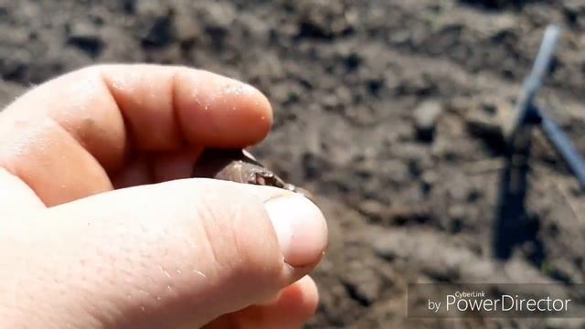 Коп на распашке. Тест нового телефона! Поиск с X-Terra 505 и Go Find 40 смотреть онлайн