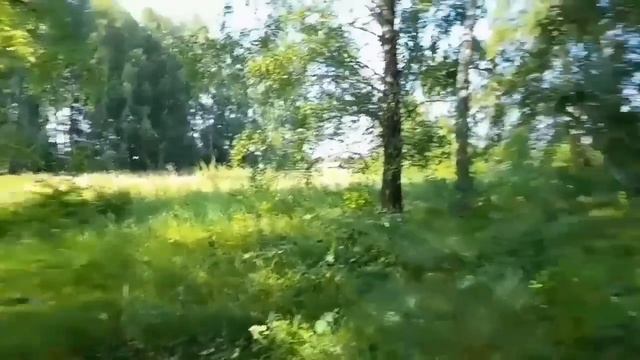 Шурфлю советскую свалку находки так и прут смотреть онлайн