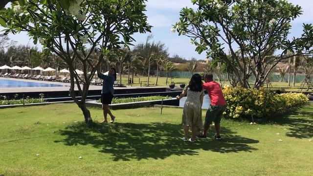 muine bay resort смотреть онлайн