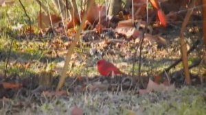 FujiFilm Finepix S3200 Digital Camera Test #1 - MEGA QUALITY