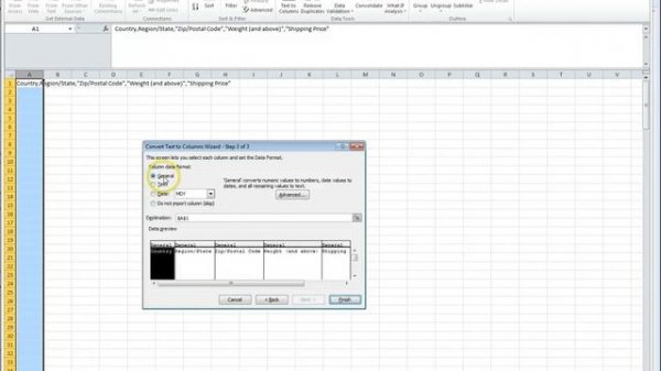 Microsoft Excel - CSV  Comma delimited