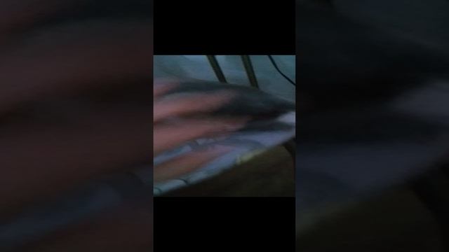 типичный коржик когда я дома смотреть онлайн