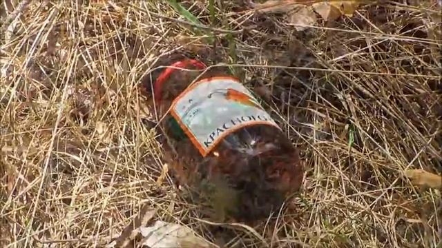 Сохраним лес в чистоте! смотреть онлайн