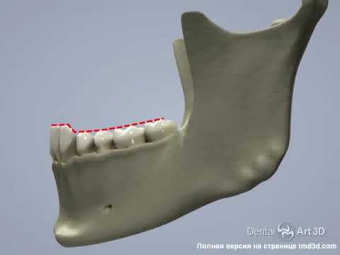 Дыхательные пути и ВНЧС