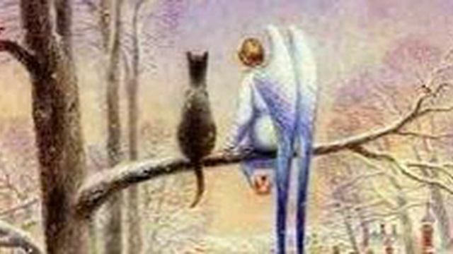 Ангел и кот. смотреть онлайн