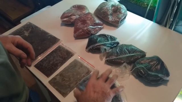 Как и чем кормить аквариумных рыбок? смотреть онлайн