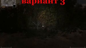 STALKER ФОТОГРАФ  Икона для Сидоровича все места