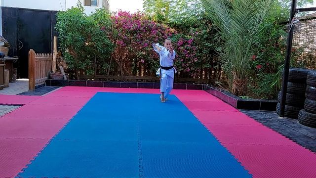 SPORTDATA E-TOURNAMENT WORLD SERIES 2021 - KATA | KUMITE #7 Fayrouz Ahmed - Kata Gojushiho Dai смотреть онлайн