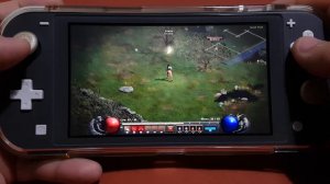 Diablo 2: Resurrected on Nintendo Switch Lite