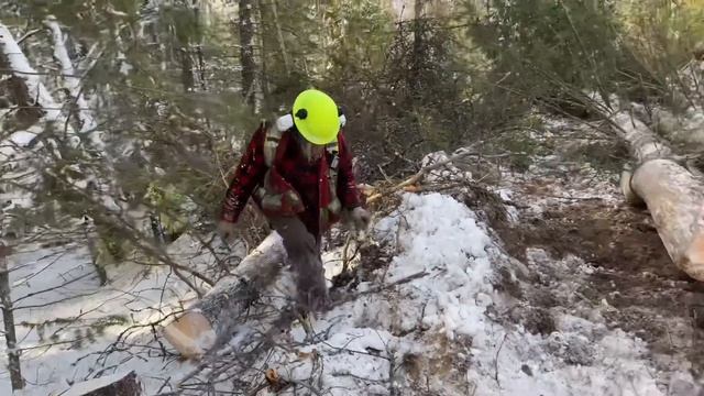 Rustic logging… building trails and cable skidding. смотреть онлайн