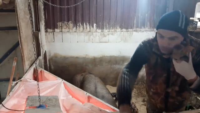 //Это блохи,а не с....// смотреть онлайн