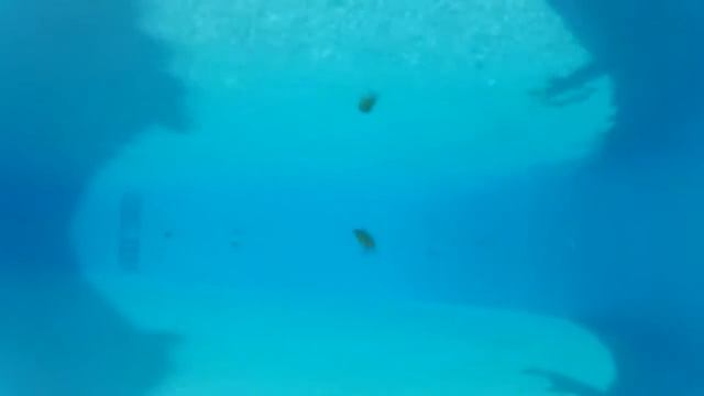 Воблер MEGABITE HYDRO JACKSOF. Тест в бассейне! смотреть онлайн