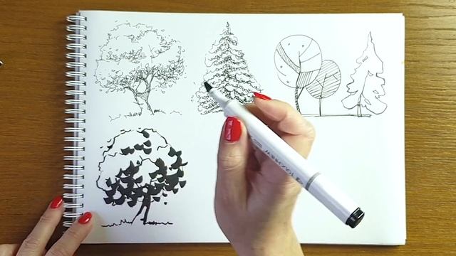 Как сделать скетч дерева смотреть онлайн