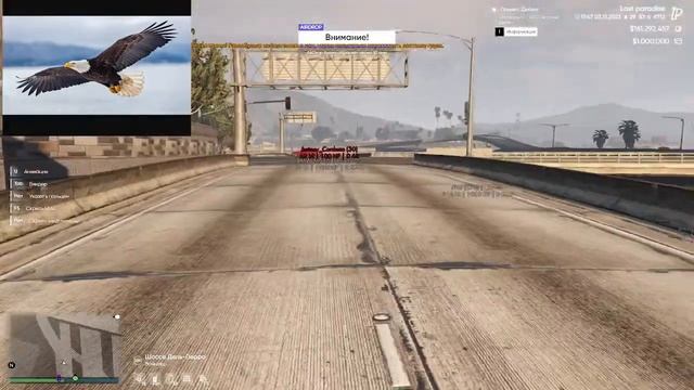 Играем в GTA V RP общяюсь с чатом смотреть онлайн