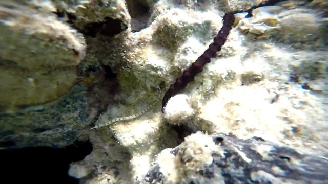 Отпуск в Египте отель Grand Resort Hurghada