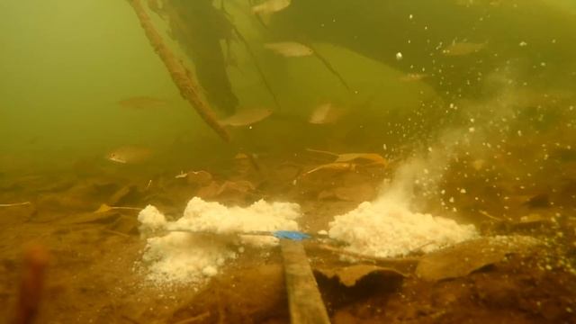 Реакция рыбы на UPSA и ГИДРОПЕРИТ!? Подводная съемка смотреть онлайн