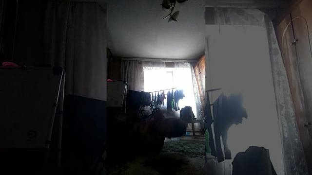 #новочеркасск #брейкданс #bboy breaklng смотреть онлайн
